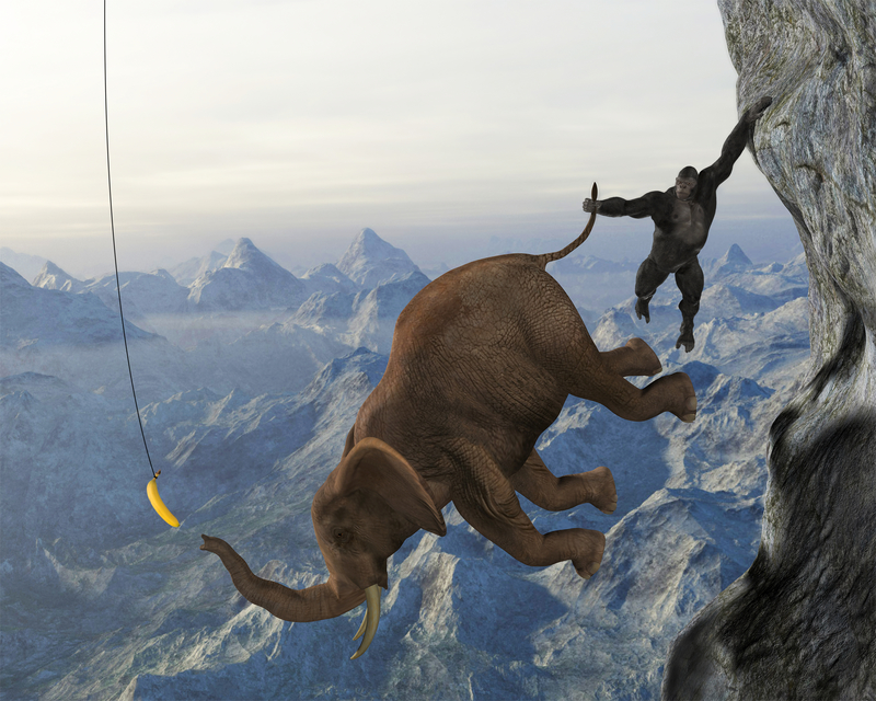 continuos improvement, lean six sigma, quality improvement, shmula.com